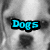 A grayscale dog face with blue 'Dogs' text over eyes in one view and green 'Rock' text over eyes in another view, with a third view showing the dog's full face without text.