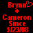 Red pixelated text and symbols on black background show two states: left state has 'Brynn' with heart symbol, right state lacks heart symbol, both with 'Cameron Since 5/23/08' text.