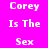 Pixelated text 'Corey Is The Sex' displayed in white on a split purple background with two distinct color variations.