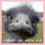 Pixelated image of a bird with gray and white plumage, orange eyes, and pink border on left; black text "I LOVE EMUS" on right.