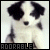A pixelated dog with black and white fur, dark eyes, a small nose, and the word "ADORABLE" in block letters at the bottom.