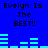 Blue background with black pixelated text "Evelyn Is The BEST!!" repeated four times and cyan horizontal bars in two