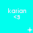 Cyan background with repeated 'karian <3' text and scattered white symbols including plus signs, stars, and dots.