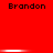 Red background with repeated black text "Brandon" in three , each containing three instances of the text