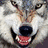 Animated wolf head with open mouth showing teeth and tongue, transitioning to a neutral expression against white background.
