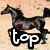 four buddy icons: top-left shows a black horse on beige background with 'top' text, top-right has two white dogs on green grass with 'model', bottom-left features a seal in blue water with 'jana', and the bottom-right is empty gray