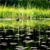 Pixelated green and yellow gradient image with dark lower section containing scattered light gray shapes.