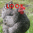 A chicken with gray and black feathers, red comb, standing on grass, displaying sequential text overlays.