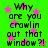 Green background with pink stars and repeated black text reading 'Why are you crawlin out that window?!' in pixelated font.