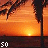 Animated sunset scene with palm fronds, displaying text fragments 'so', 'long', 'sheet', 'summer', and '<3' across frames.