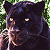A pixelated black panther with yellow eyes appears on the left, next to green text reading 'Original Icons .com' on a dark green background.