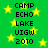 Green background with yellow stars and repeated black text reading CAMP ECHO LAKE UIGW 2010 in two vertical