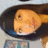 Pixelated image of a person with brown hair and light skin, wearing dark clothing against a blue background with pink text.