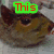A four- shows a cat's face with green text overlays reading 'This', 'is for', and 'Chuckles'