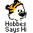Pixelated cartoon dog mascot with orange and black hair, red text 'Instant Icons', and black text 'Hobbes Says Hi' on gray background.