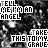 Black-and-white pixelated image with repeated text overlays 'TELL ME I'M AN ANGEL' and 'TAKE THIS TO MY GRAVE' in blocky white font on a dark, noisy background.