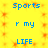Yellow background with orange starburst pattern, blue text 'Sports', 'r my', 'LIFE', 'Sports'