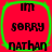 Red square icon with green border displaying text 'im sorry nathan' in black pixelated font across four identical