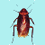 Two pixelated insect icons with brown bodies, segmented patterns, and antennae on a light blue background.