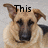 A four- shows a German Shepherd dog with text overlays: 'This' top-left, 'Is' top-right, 'ANNIE' bottom-left, and empty bottom-right