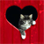Static 50x50 pixel buddy icon featuring a gray and white cat peeking through a black heart shape on a red background with visible dithering and pixelation.