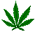 Animated sequence of a green cannabis leaf icon transitioning from full 7-leaf form to simplified vertical sprig, then back to full leaf with varying pixel density.
