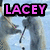 Animated sequence showing two polar bears holding hands with text overlays reading LACEY, IS, and AWESOME.