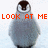 Pixelated penguin chick with brown head, white neck ring, gray body; red text "LOOK AT ME" above left view, "I'M A" above right view, and "CHICK" below center view.