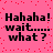Pink background with red pixel dots and black text repeating 'Hahaha! wait...... what?' in two