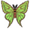 Static pixel art of a green moth with brown edges and red-brown body segments on gray background.