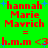 Green background with red text reading "hannah Marie Mavrich" and "h.m.m <3h.m.m <3", blue plus signs, and pixelated animation changes between frames.