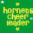 Green background with yellow text reading 'hornets cheer leader' and small white stars scattered throughout.