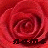 A pixelated red rose with a dark brown text overlay reading 'LOVE' at the bottom center.