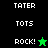 A split-screen display shows two versions of a pixel-art icon with text and star symbols, one on black background and the other on green.