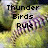 Pixelated image of a baseball with text overlays, showing two distinct states: 'Thunder Birds Rule' on the left and 'Nicki #18' on the right.