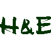 Green pixelated text fragments on light gray background, with visible animation changes across frames.