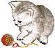 A 4-frame animated contact sheet showing a gray kitten playing with an orange-and-brown yarn ball on a transparent background, arranged in a 2x2 grid.