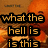 Pixelated orange-toned image with black-outlined yellow text displaying various phrases over a blurred background.
