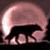 Animated sequence showing a wolf silhouette against a full moon, transitioning to a close-up of a wolf's face with bared teeth and a red-tinged background.
