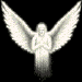 Four white angel figures with outstretched wings on black background, each in distinct wing and pose variations.