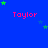 Blue background with repeated pink 'Taylor' text and green stars, one gray rectangle in bottom-right corner.