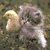 six with a kitten, text elements, and symbols on colored backgrounds