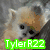 six identical animal head images with text overlays in different colors, each showing a small animal with light brown and white fur, dark eyes, and a dark nose against a gray background