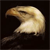 Animals icons for AIM, MSN, MySpace and Yahoo