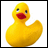 Yellow rubber duck with red beak and blue eyes in a black-bordered square, next to pixelated text reading 'duckies float' above 'my boat'.