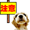 A dog's head appears in three positions with a yellow sign displaying red, blue, and green Chinese characters.