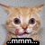 A pixelated orange cat with wide eyes and a slightly open mouth appears on the left, next to a brown chocolate bar labeled 'chocolate' on the right.