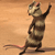 Pixelated cartoon cat stands upright on hind legs with one arm raised, tail extended, against a light brown background.