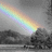 A grayscale landscape with a rainbow arching over trees and water, transitioning to the same scene overlaid with bright pink text reading "LOVE NOTES".