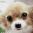 Pixelated dog face on left, cyan text on dark blue background reading 'millie + foxxy = x3' on right.